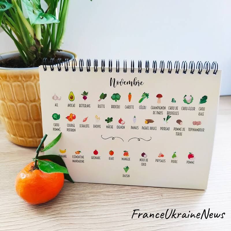 311307068_150735090988849_2276637134807800061_n