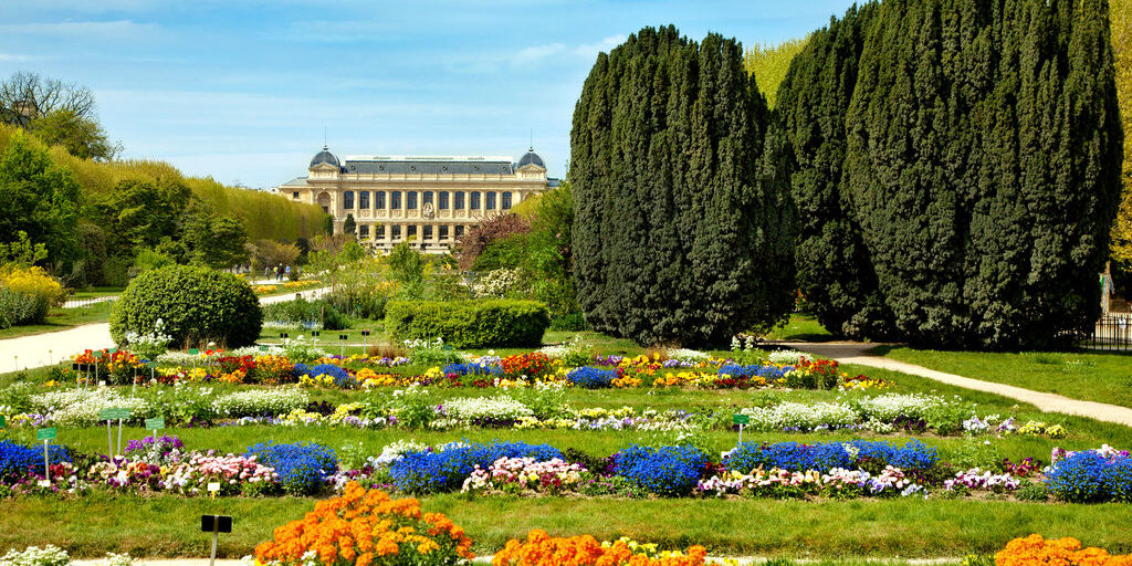 Jardin De Plantes FranceUkraineNews 1024x512 