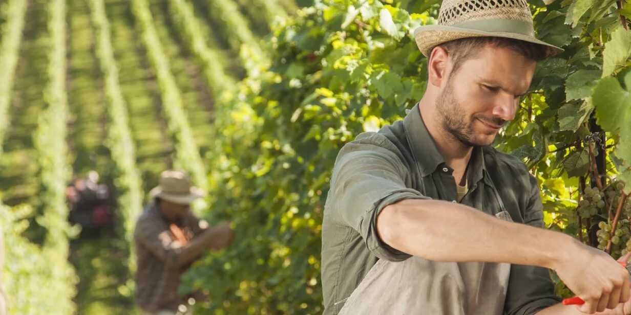 jobn-d-ete-FranceUkraineNews