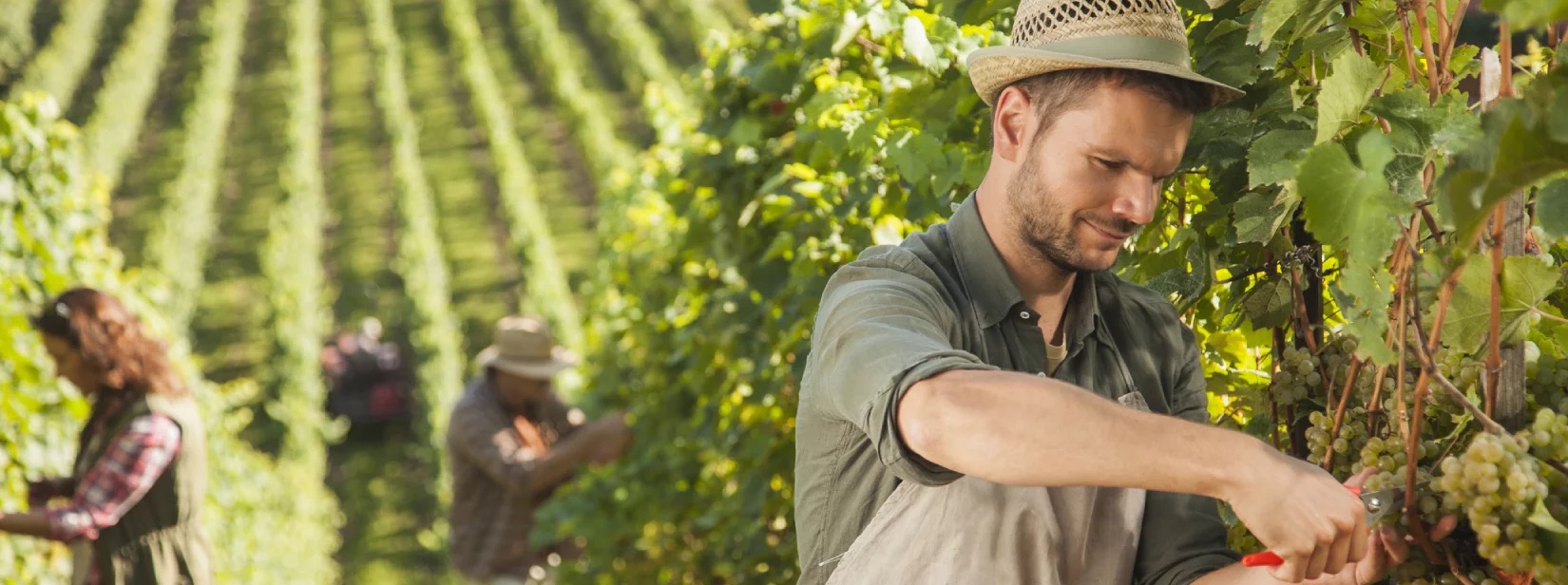 jobn-d-ete-FranceUkraineNews