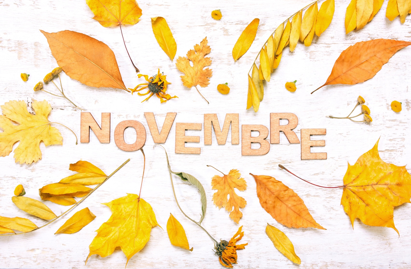 novembre