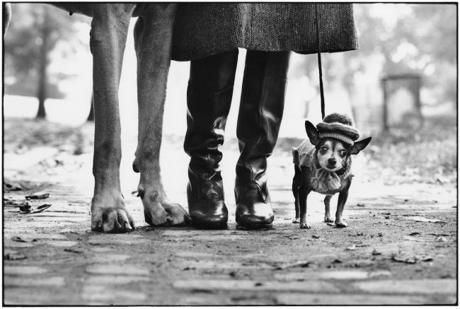 photo Elliott Erwitt