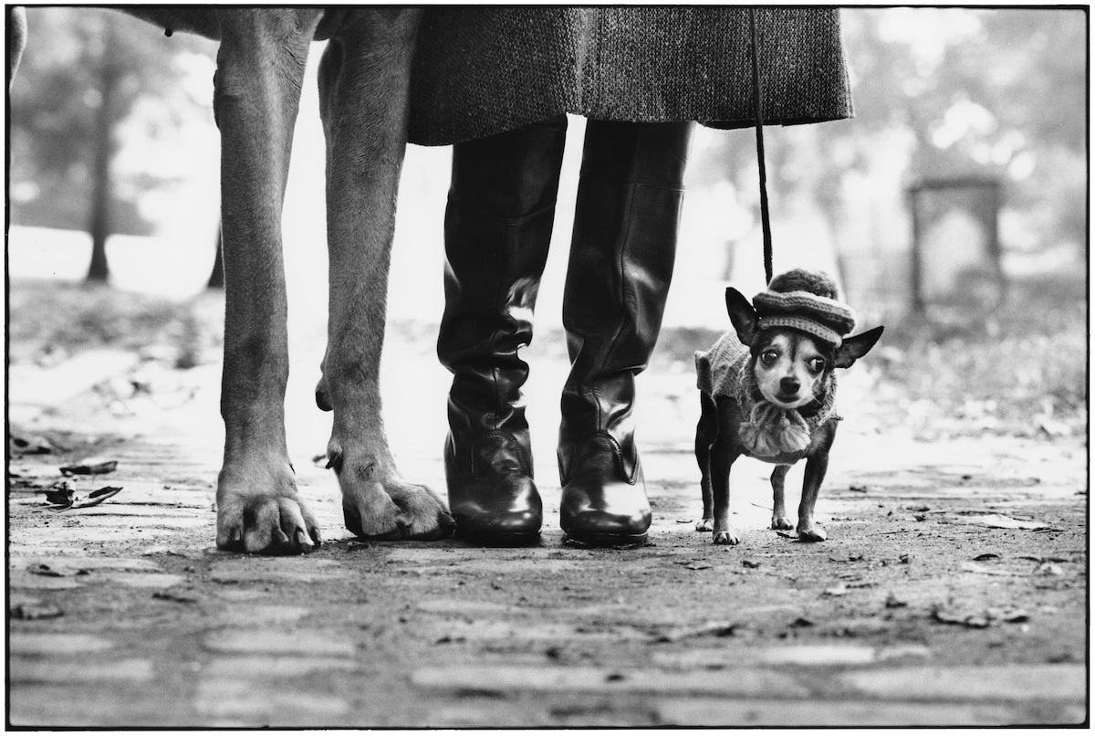 photo Elliott Erwitt