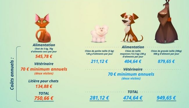 un chat ou un chien budget